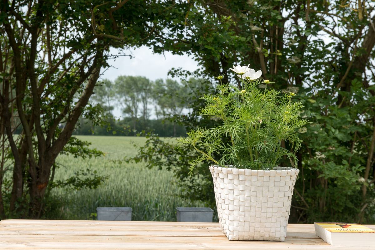 Witte bloemschikking op tuintafel met open landschapsuitzicht – Zeeuwshuisje vakantiewoning, Koudekerke